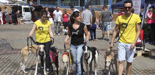 Asociación Canina Leganés