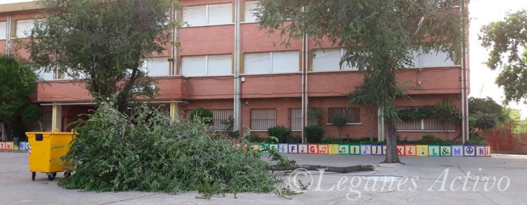 Cae un árbol en el patio de un colegio de Leganés