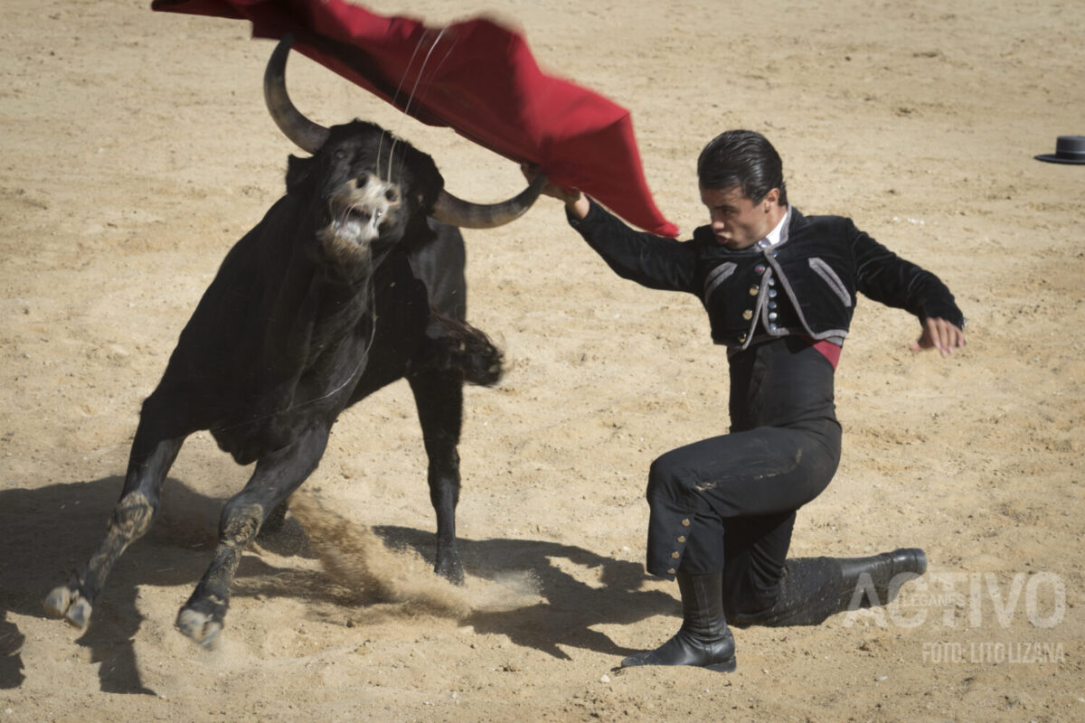 tentadero leganes toros