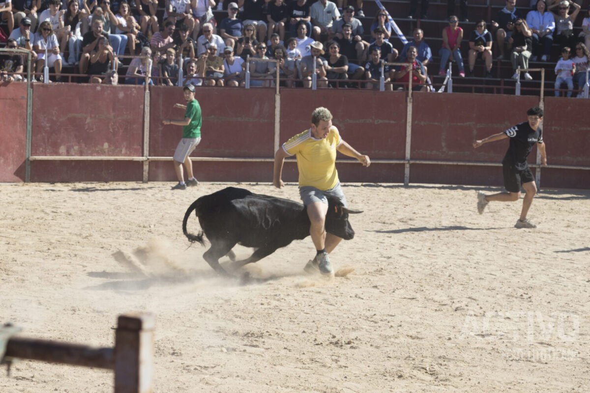 vaquillas leganes 2024